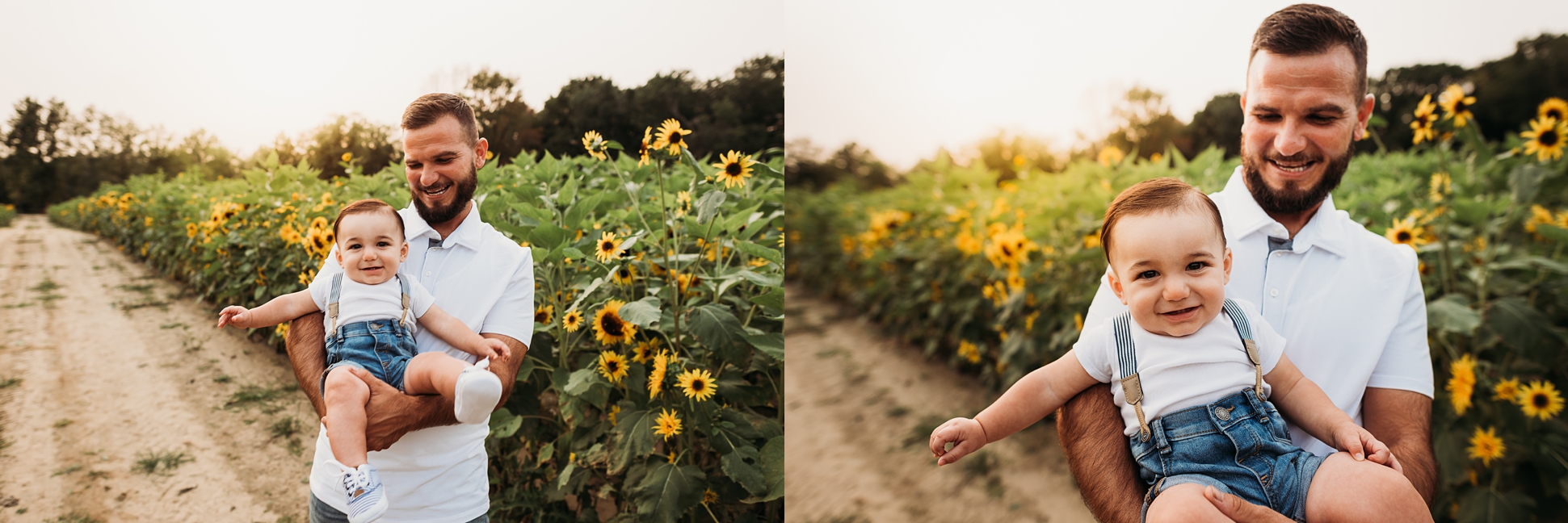 south jersey family session sunflower field dalton farms 