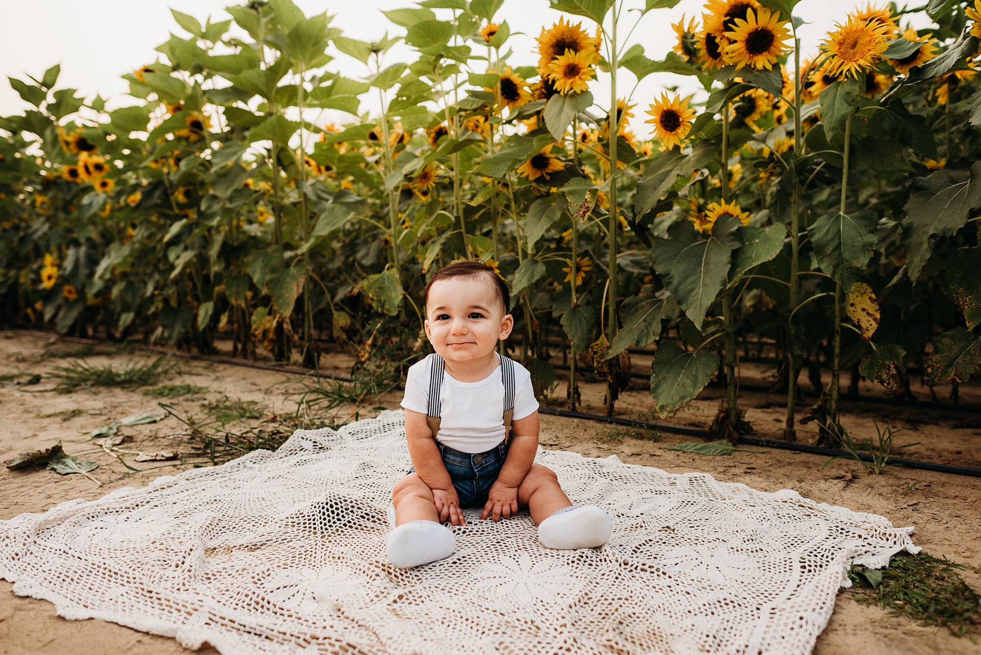 south jersey family session sunflower field dalton farms 